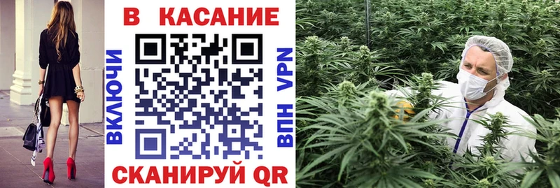 Купить наркоту Красный Холм Канабис  Амфетамин  Кокаин  ГАШИШ  Меф мяу мяу  Псилоцибиновые грибы  Alpha-PVP 