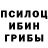 Псилоцибиновые грибы ЛСД Sergei Wolfenstein