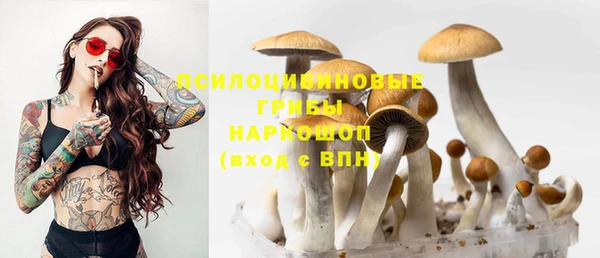 кокаин перу Белокуриха