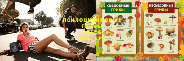 амф Балахна