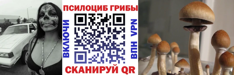 Галлюциногенные грибы Magic Shrooms  ОМГ ОМГ зеркало  Красный Холм 